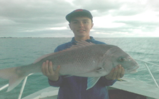 Young Bloke's Snapper